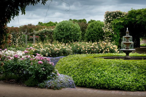 Alowyn Gardens And Nursery - Accommodation Australia 1