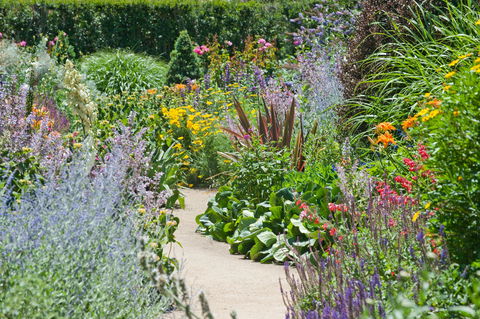 Alowyn Gardens And Nursery - Accommodation Australia 2