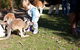 Animals And Family Fun - thumb 1