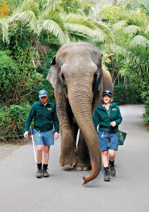 Animals And Family Fun - Accommodation Australia 2