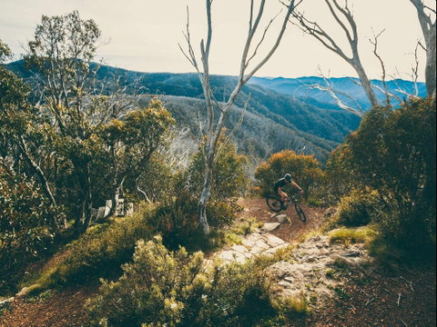 Australian Alpine Epic Mountain Bike Trail - Accommodation Australia 1