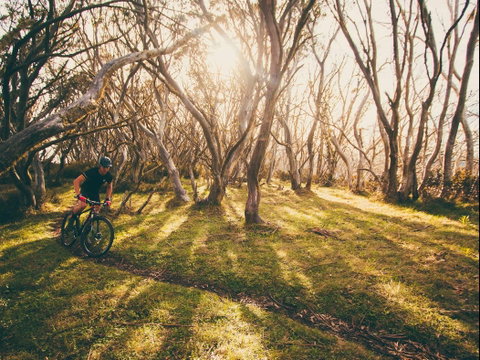 Australian Alpine Epic Mountain Bike Trail - Accommodation Australia 2