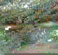 Birdwing Butterfly Walk