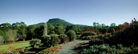 Botanic Garden, Wollongong - Accommodation Australia 0
