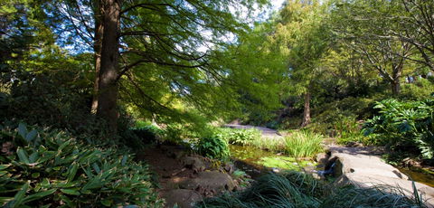 Botanic Garden, Wollongong - Accommodation Australia 2