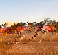 Broken Hill Camels - Accommodation Australia