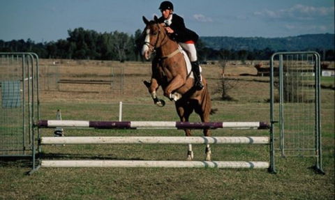 Camden Bicentennial Equestrian Park - Local Tourism 0