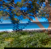 Collingwood Beach - Local Tourism