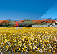 Coorow Farm Wildflower Trail - Local Tourism
