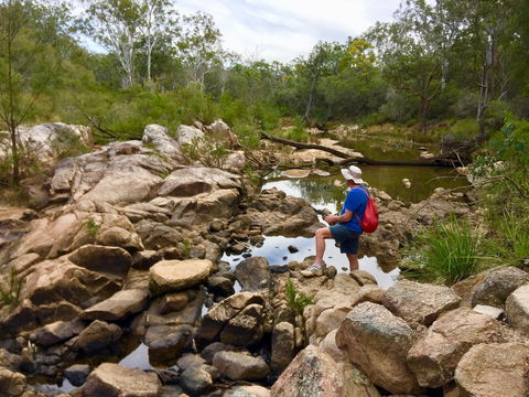 Crows Nest Falls - Local Tourism 2