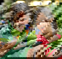 Currumbin Wildlife Sanctuary