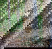 Delta Track - Local Tourism