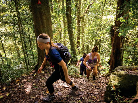 Devils Thumb (Manjal Jimalji) Trail - Accommodation Australia 0