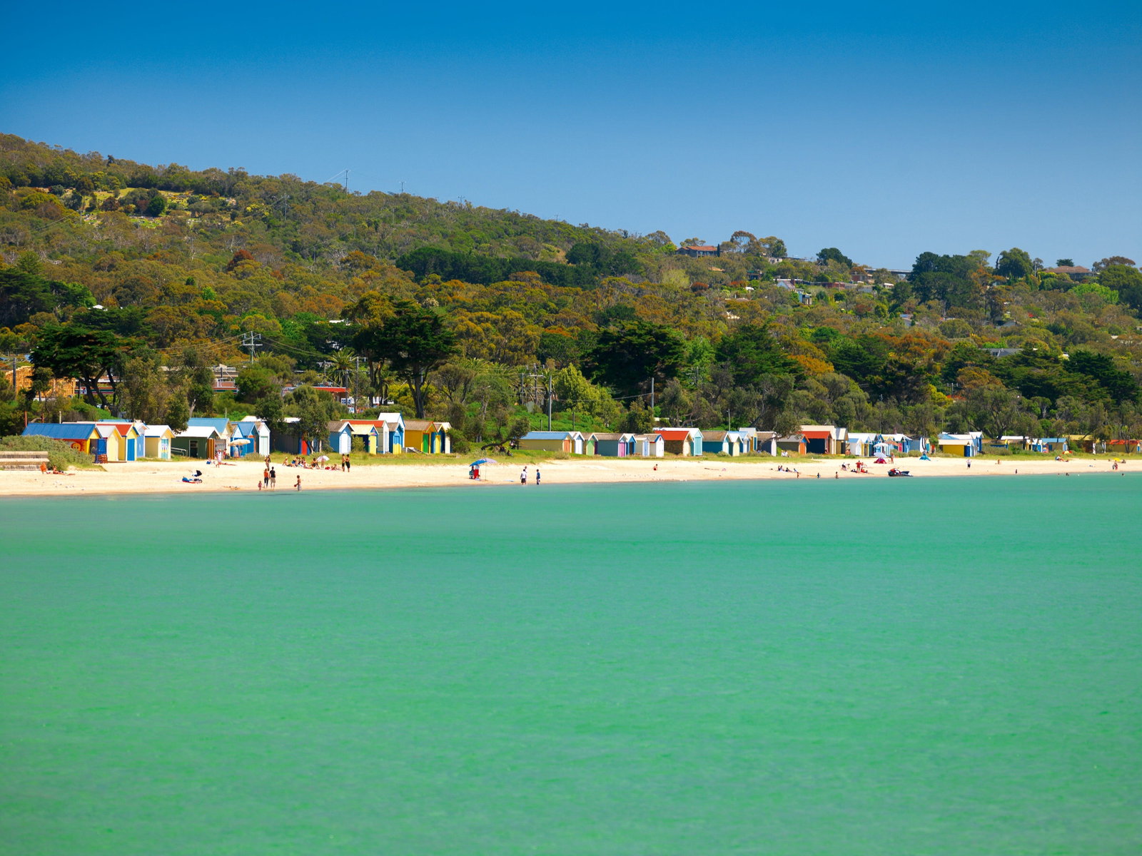 Safety Beach VIC Accommodation Australia