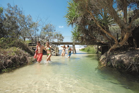 Eli Creek - Local Tourism 1