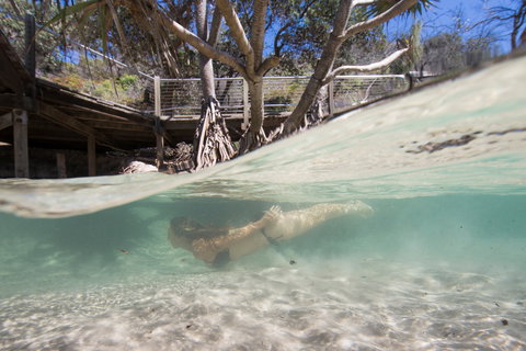 Eli Creek - Local Tourism 2