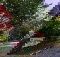 George Tindale Memorial Gardens - Local Tourism