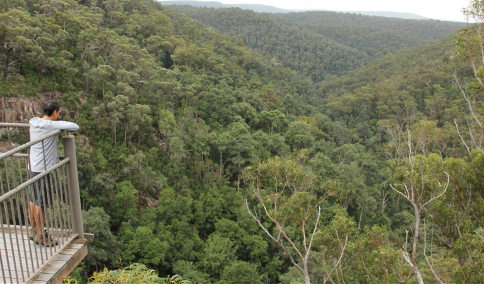Twelve Mile Peg NSW Local Tourism