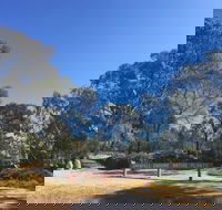 Grenfell Endemic Garden - Accommodation Australia
