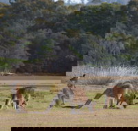 Great Nature Trail - Local Tourism