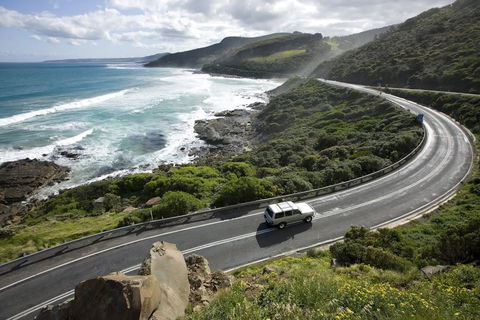 Great Ocean Road - Accommodation Australia 0