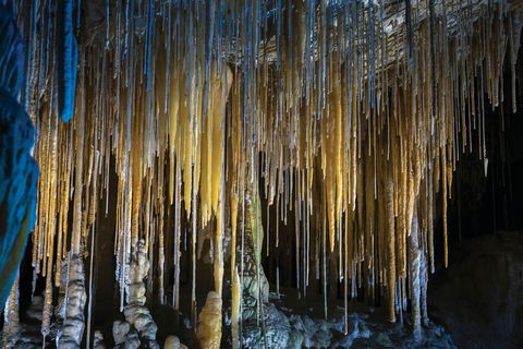 Hastings Caves And Thermal Springs - Accommodation Australia 0