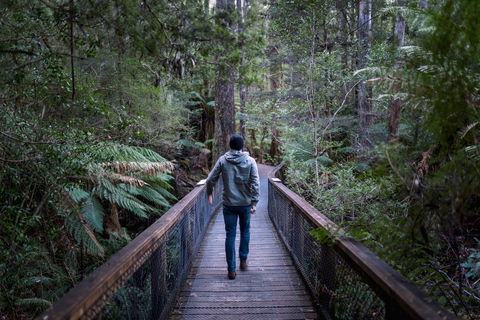 Hastings Caves And Thermal Springs - Accommodation Australia 1