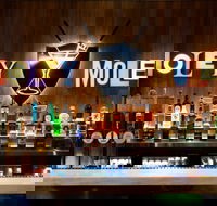 Holey Moley Wollongong - Accommodation Australia