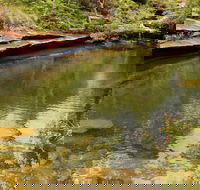 Hominy Creek Walking Track - Accommodation Australia