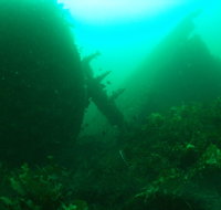 Investigator Strait Shipwreck Trail - Accommodation Australia