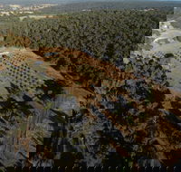 Julimar Date Garden - Local Tourism
