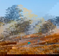 Kambah Pool to Pine Island Walking Trail - Accommodation Australia