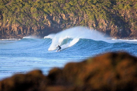 Killalea Reserve - Local Tourism 1