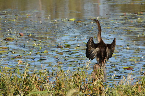 Lake Apex Park - Local Tourism 0