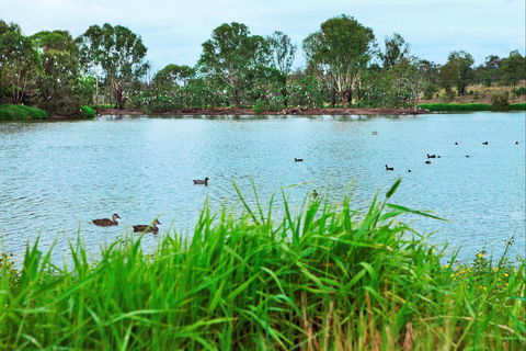Lake Apex Park - Local Tourism 1