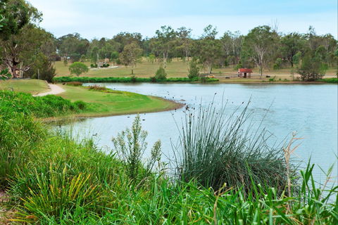 Lake Apex Park - Local Tourism 2