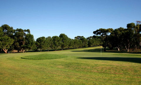 Mannum Golf Club - Local Tourism 0