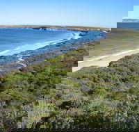 Marion Bay - Local Tourism