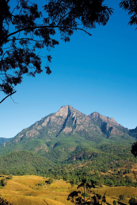 Mount Barney National Park - Local Tourism 1