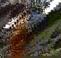 Mystery Face Walking Track