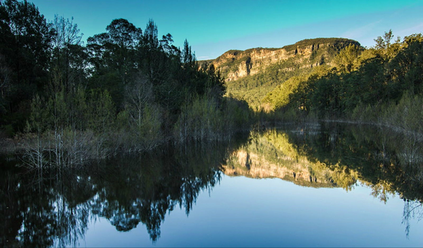 Wattle Ridge NSW Accommodation Australia