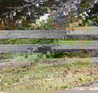 Nimmitabel Heritage Walk - Local Tourism