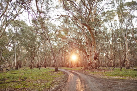 Nyah Vinifera Park - Accommodation Australia 1