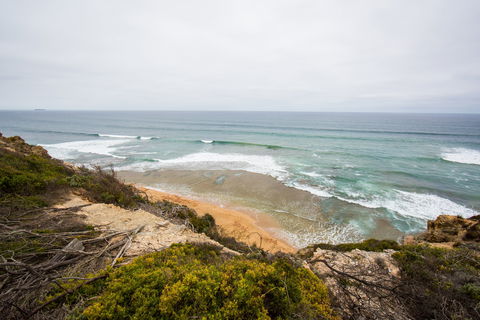 Ocean Grove Main Beach - Australia Shopping 1