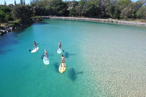 Paddleboard At Back Creek South West Rocks - Accommodation Australia 0