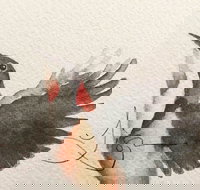 Pebbles and Pods - Local Tourism