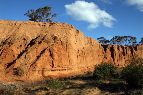 Red Banks Conservation Park - Accommodation Australia 0