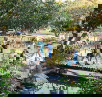 Rockhampton Botanic Gardens - Bed n Breakfasts