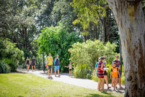 Round The Bay Walking Track: Huskisson To Vincentia - Local Tourism 1