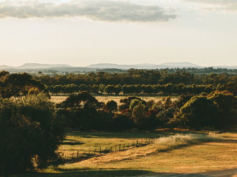 Rutherglen Wine Bottle - Accommodation Australia 2